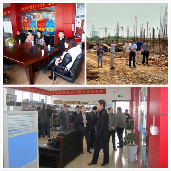 政府領(lǐng)導視察.jpg